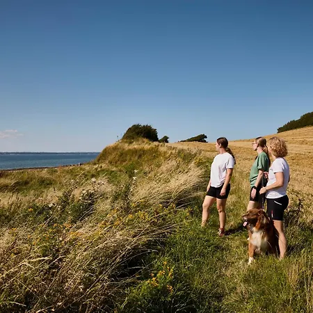 Kemping Langeland 4*